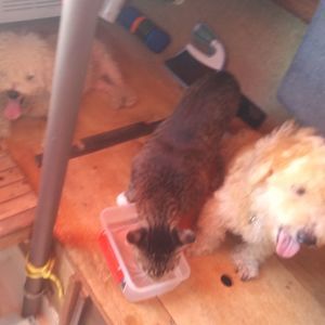 Meet your Posher, Stephen